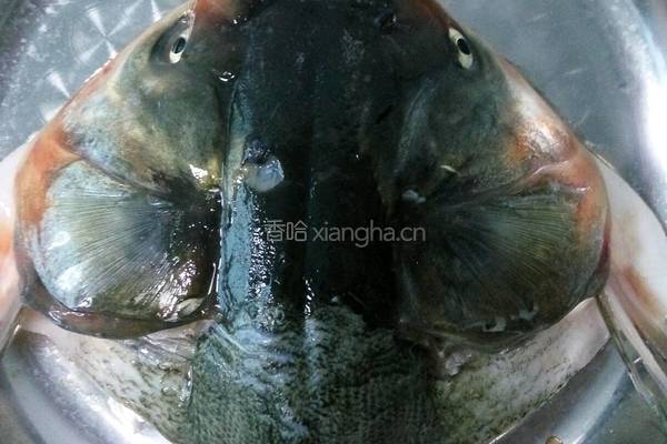 蚝油鲢鱼头的做法图解3