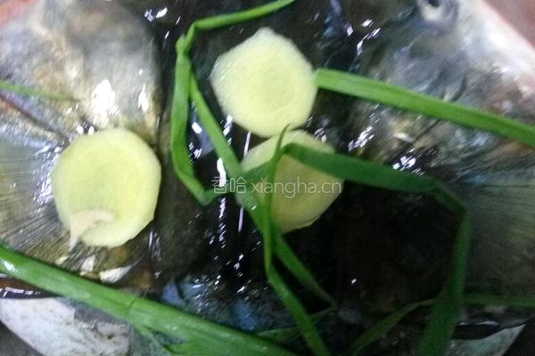 蚝油鲢鱼头的做法图解4