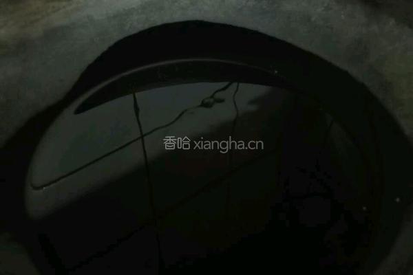 照烧琵琶腿的做法图解6