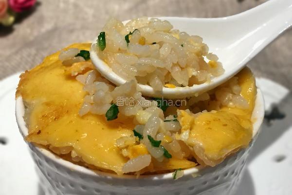 芝士奶酪焗饭的做法图解8