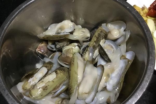 辣炒蛏子的做法图解1