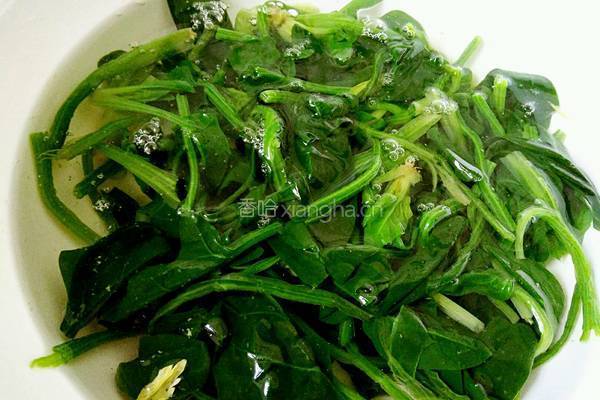菠菜粉丝的做法图解2