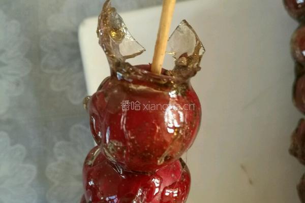 冰糖葫芦的做法图解8