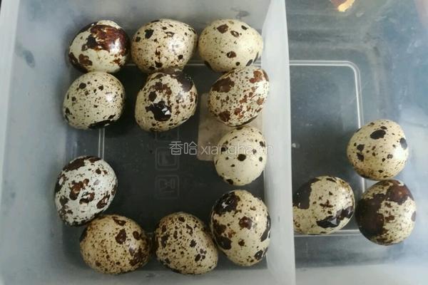 卤鹌鹑蛋的做法图解2