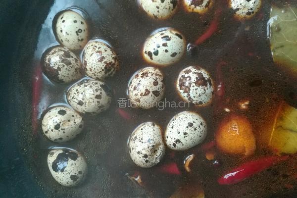 卤鹌鹑蛋的做法图解5