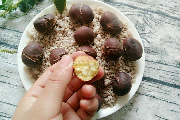 炒粟子的做法图解5