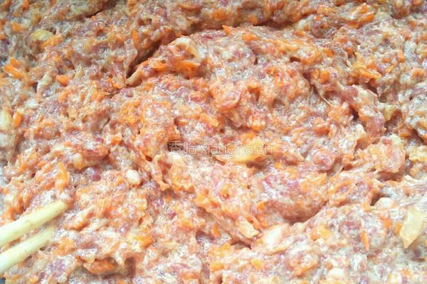 羊肉胡萝卜水饺的做法图解4