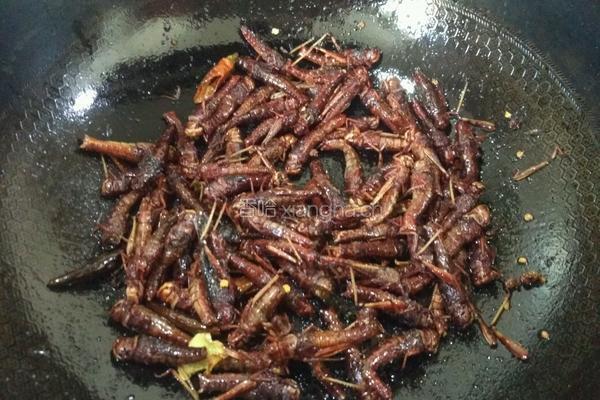 飞蝗腾达的做法图解6