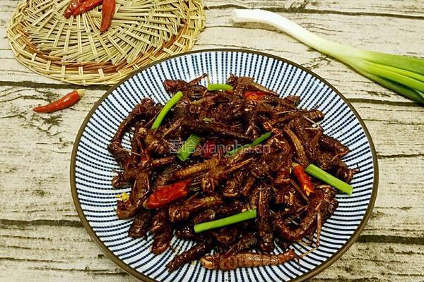 飞蝗腾达的做法图解7