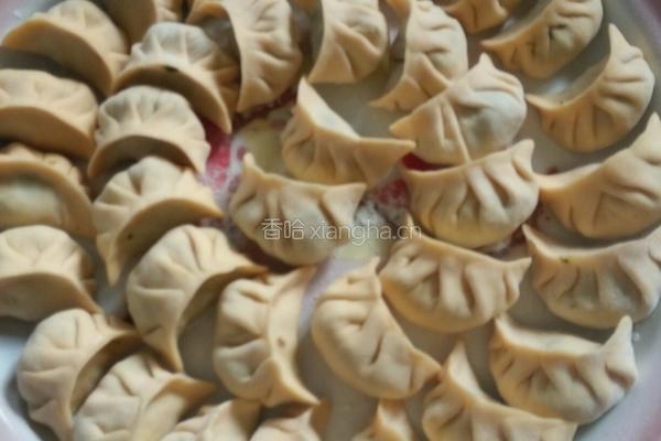 苜蓿饺子的做法图解5