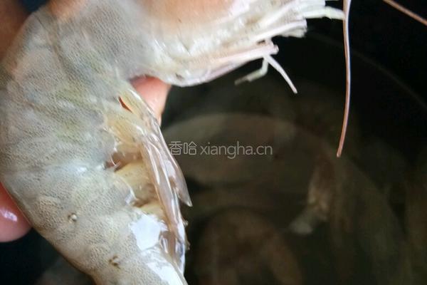 猪肉白菜虾肉饺子的做法图解1