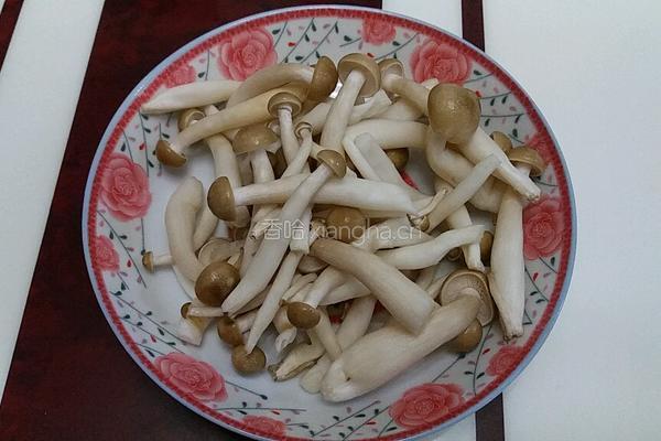 当归菌菇煮鸡的做法图解2