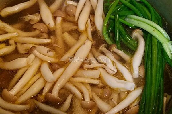 当归菌菇煮鸡的做法图解4