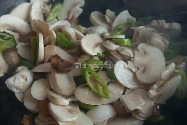 炒白菇的做法图解5
