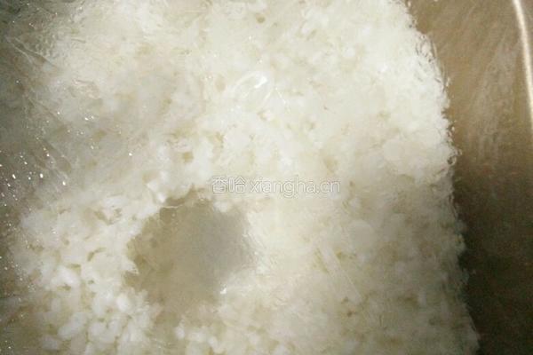糯米甜酒――面包机版的做法图解8