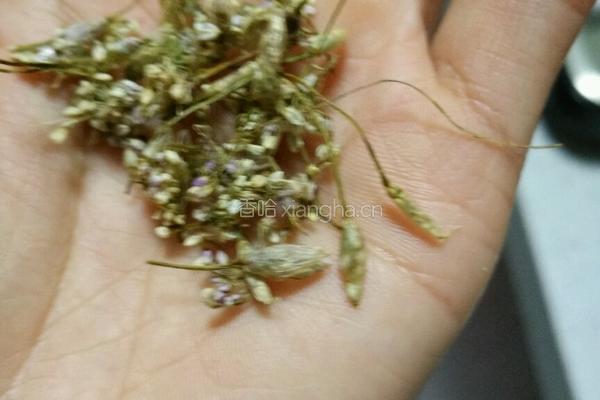 凉拌黄瓜豆腐干的做法图解8