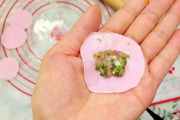 火龙果饺子的做法图解8