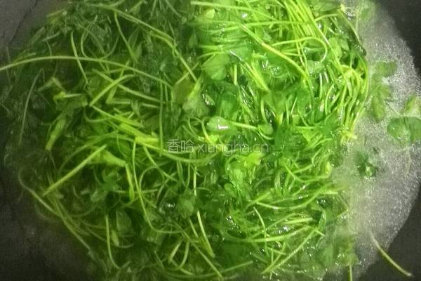 上汤金花菜的做法图解4