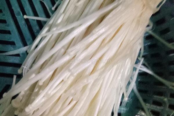 金针菇肉卷的做法图解2