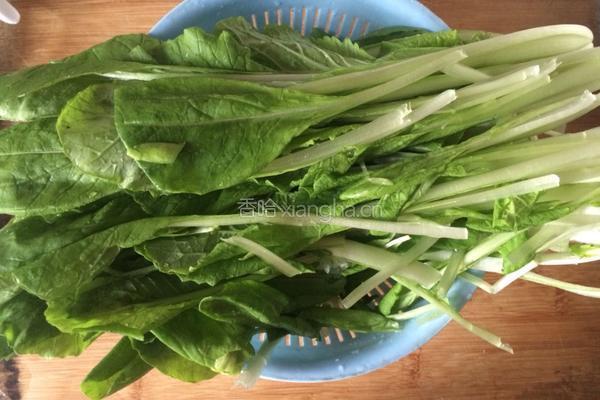 小白菜猪肉饺子的做法图解1