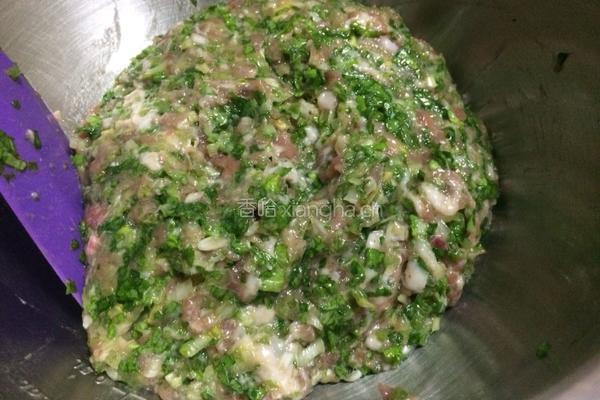 小白菜猪肉饺子的做法图解17