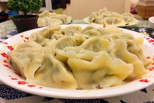 小白菜猪肉饺子的做法图解28