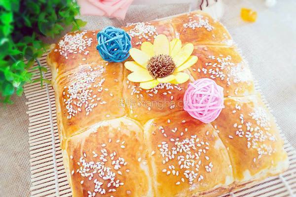蜂蜜牛奶小餐包的做法图解13