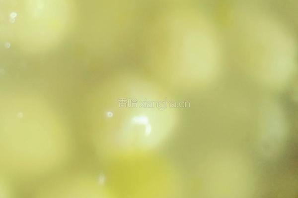白果炖鸡汤的做法图解5