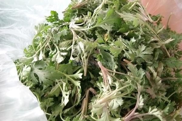 香煎菊花芽的做法图解1
