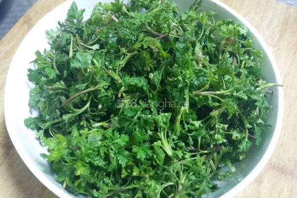 香煎菊花芽的做法图解2