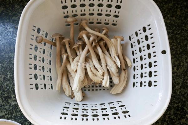 干炸鹿茸菇的做法图解1