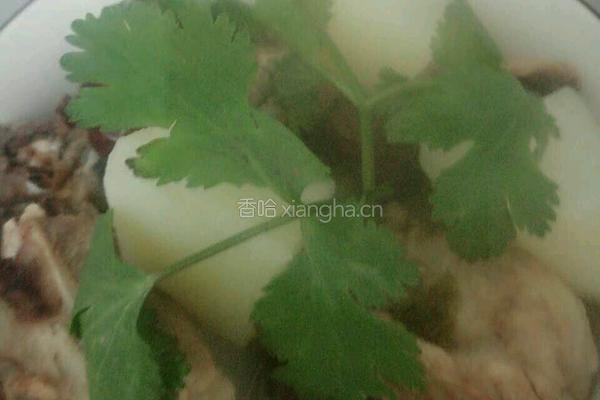 清炖排骨的做法图解1
