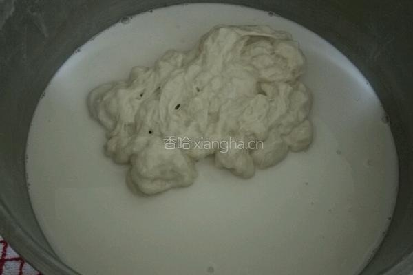 水洗凉皮的做法图解11