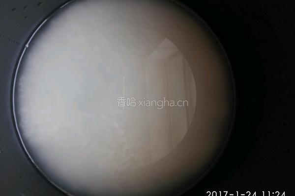 焖大米饭的做法图解2
