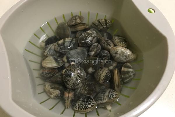 炒文蛤的做法图解1
