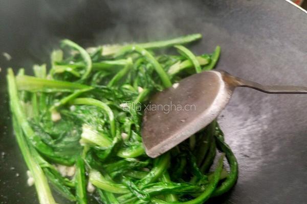 瘦肉蒜蓉炒油麦菜的做法图解6