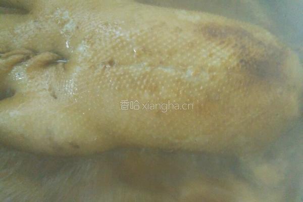 蒜头豆鼓焖鹅的做法图解12