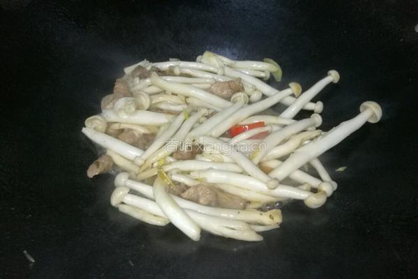 海鲜菇炒椒的做法图解5