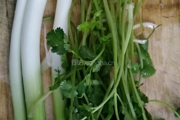 清炖全鱼的做法图解4