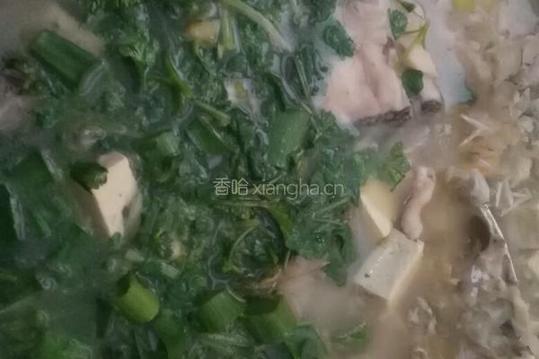 清炖全鱼的做法图解8