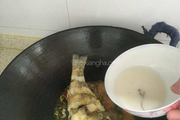 红烧鲈鱼的做法图解4