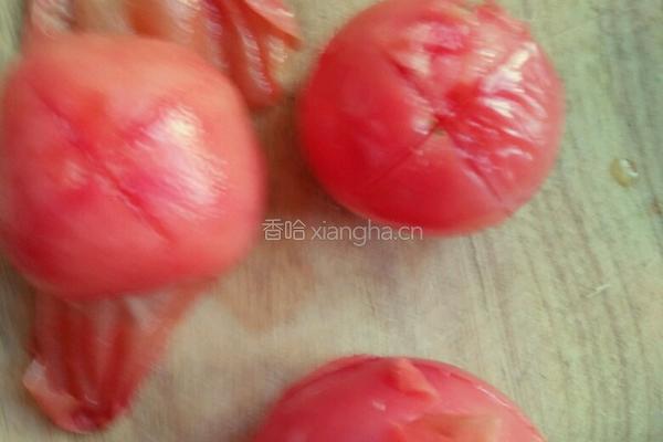 西红柿炖牛腩的做法图解5