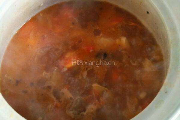 西红柿炖牛腩的做法图解14