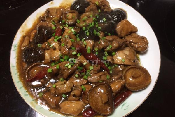 私房花菇啤酒鸡的做法图解9