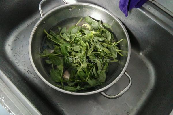豆腐豌豆尖汤的做法图解1