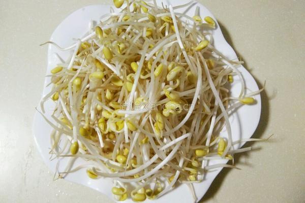 干锅香辣鸡的做法图解5