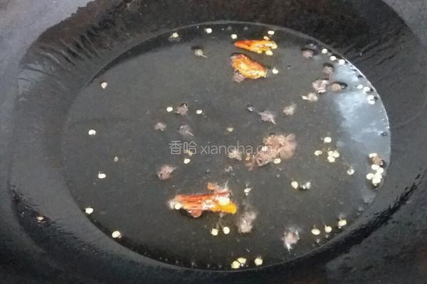 酸白菜羊肉粉丝汤的做法图解4
