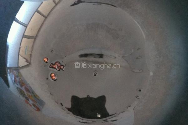 耗油杏鲍菇的做法图解6