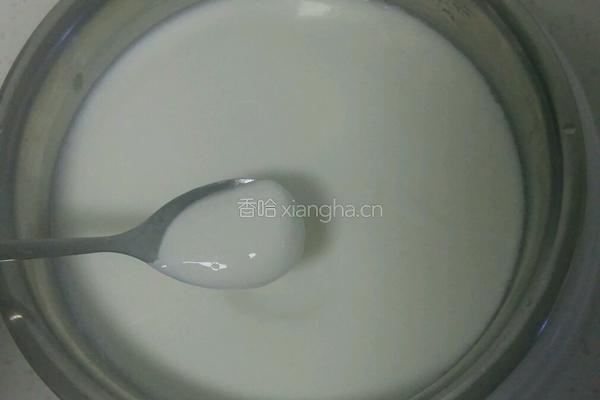 自制美味黄桃酸奶的做法图解9