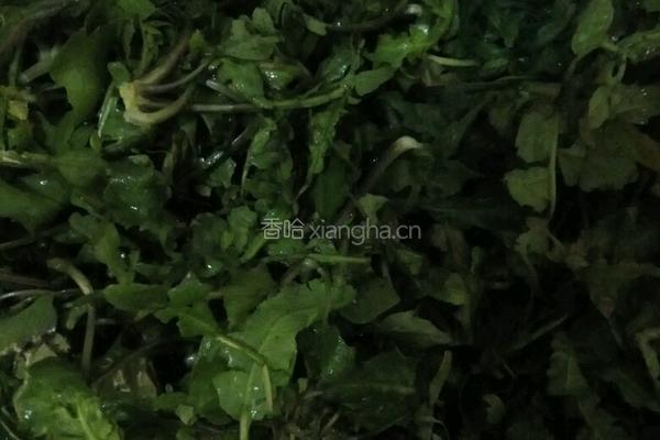 荠菜肉馄饨的做法图解1